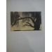 FLORICA - ION PILLAT , STEFAN POPESCU  1926 ( ex. 336 / 1003 cu semnaturile autorilor)